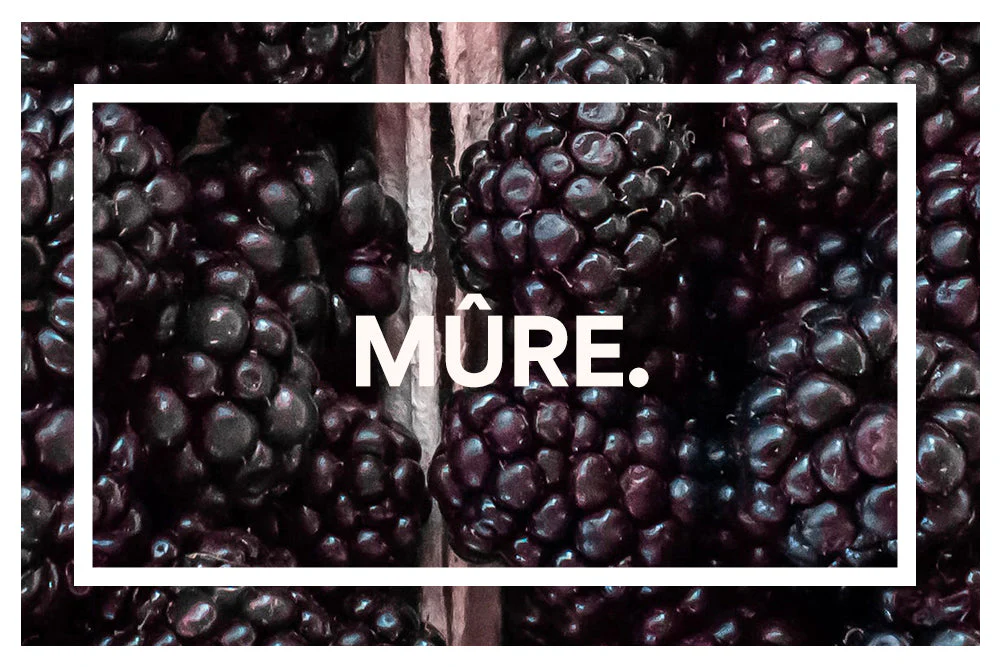 Mûre. Chocolat. (PAV de Barres repas / Light) - Image 6