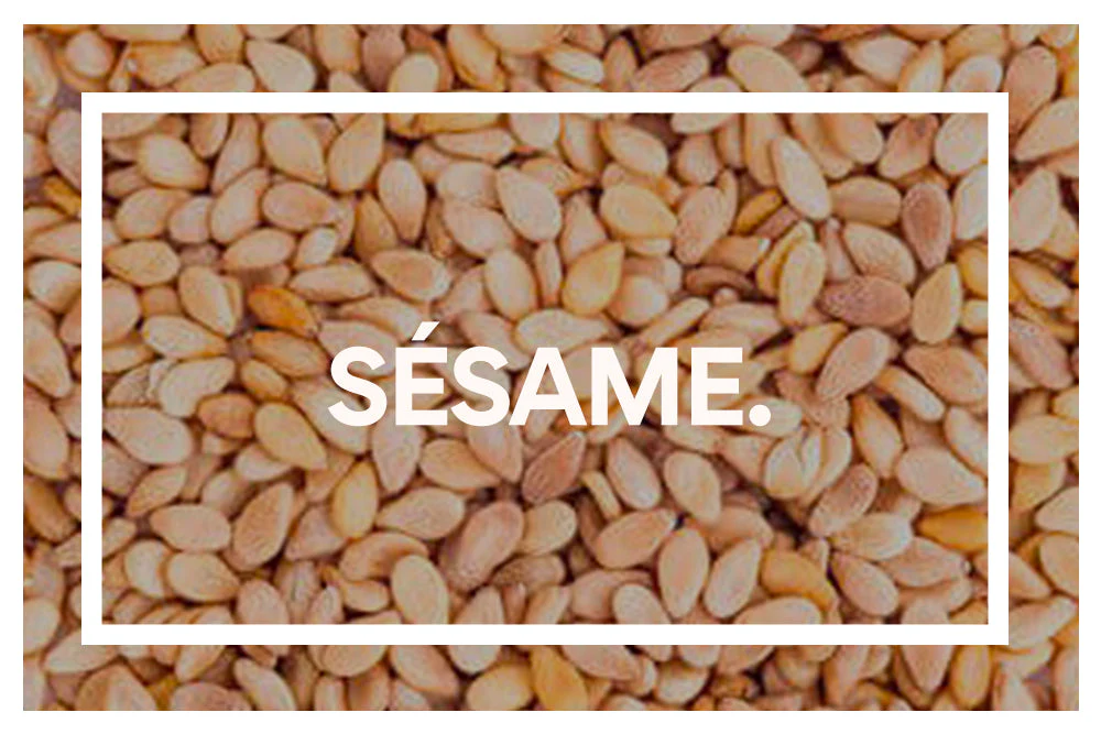 Sésame. Chocolat. (PAV de Barres repas / Light) - Image 8