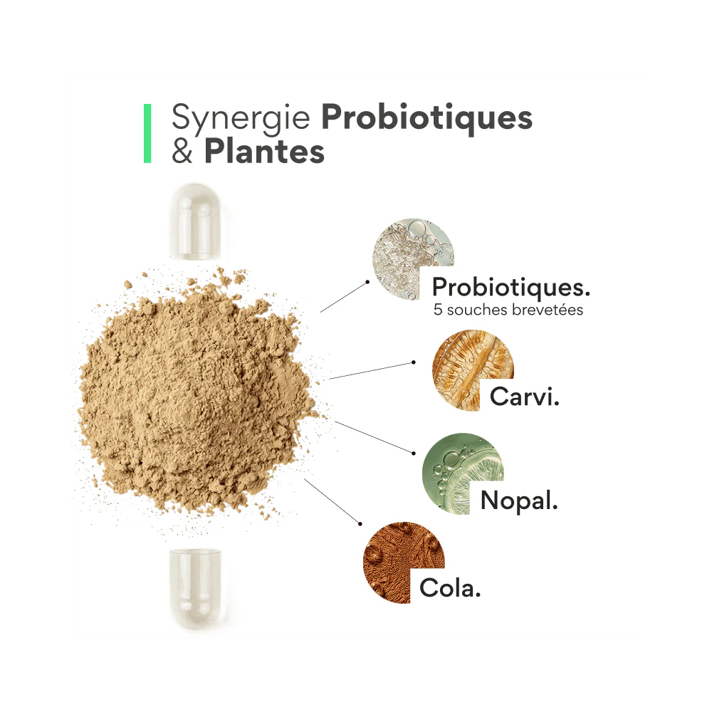 Probiotique minceur. (boite de 15 gélules gastro-résistantes / minceur) - Image 3