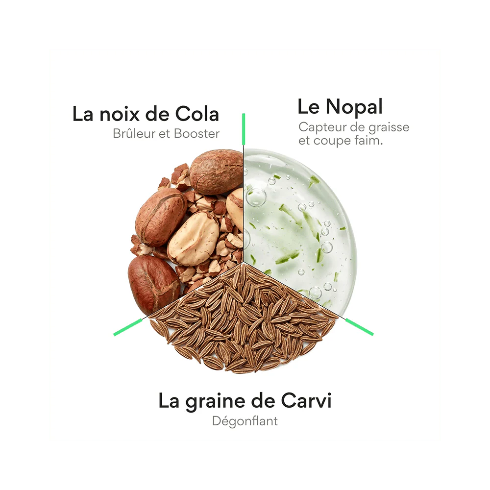 Probiotique minceur. (boite de 15 gélules gastro-résistantes / minceur) - Image 5