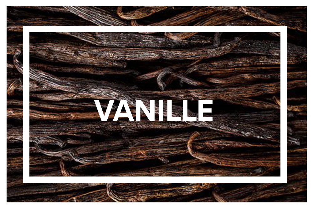 Vanille. Chocolat. (PAV de Barres repas / Light) - Image 8